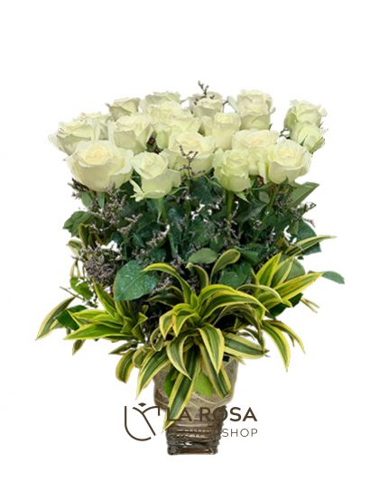 20 White Roses Vase