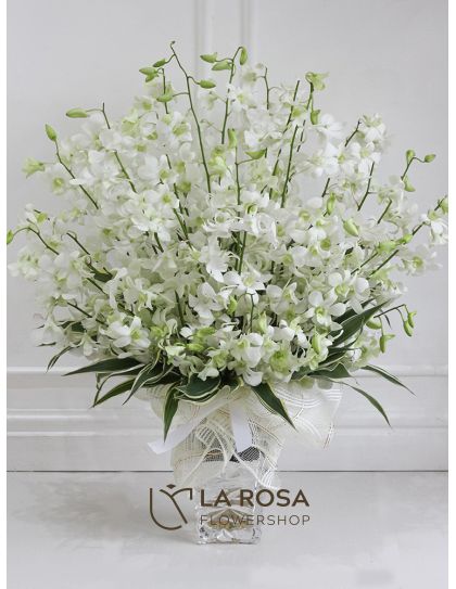 White Orchids in Vase - Orchids Delivery by LaRosa Flower Shop Quezon City
