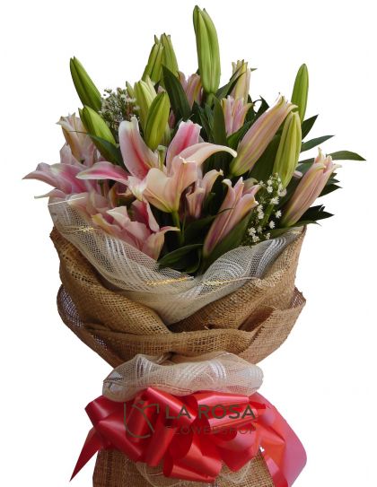 6 Stargazers - Lilies Delivery by LaRosa Flower Shop Quezon City