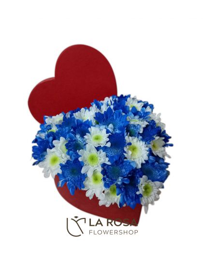 Blue White Mums in a Box - Father's Day Flower Delivery by LaRosa Flower Shop Quezon City
