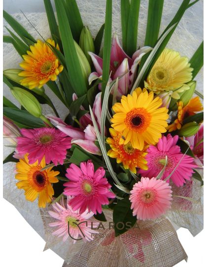 Blooms of Gerberas