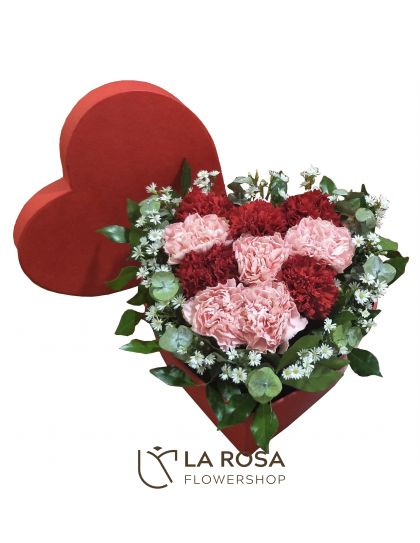 Carnations in a Box
