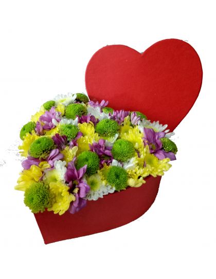 Flower in a Box - Mums Delivery by LaRosa Flower Shop Quezon City