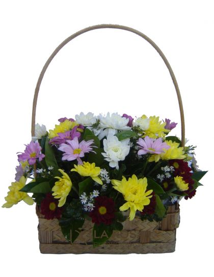 Mums in a Basket