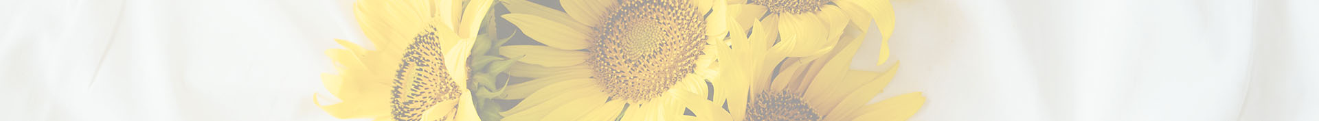Sunflower Flower Bouquet Arrangements