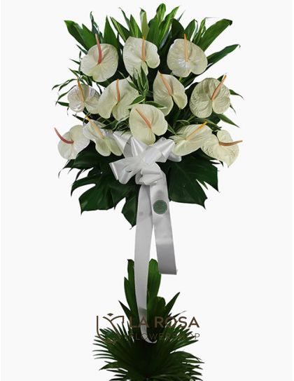 Anthurium Funeral Stand