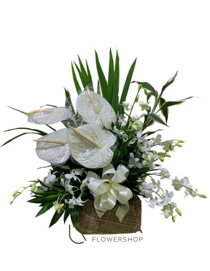 Orchids and Anthuriums White - Flowers in a Basket Delivery by LaRosa Flower Shop Quezon City