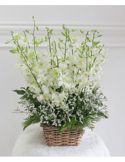 All Saints Day 03 Funeral Flowers Philippines - White Orchid Sympathy Basket - Funeral Flower Delivery