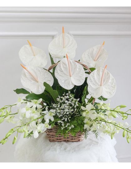 All Saints Day 04 Funeral Flowers Philippines - Anthurium & Orchid Sympathy Basket - Funeral Flower Delivery