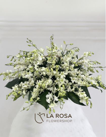 All Saints Day 17 Funeral Flowers Philippines - White Orchid Sympathy Flowers - Funeral Flower Delivery