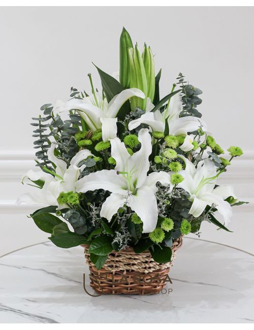 Flower Basket White Lily Basket flower delivery by La Rosa Flower Shop