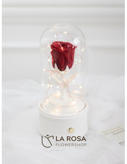Eternity Red Rose (White BT Speaker Glass Dome)