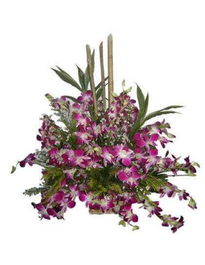 Sympathy Violet  Orchids Basket  - Funeral Flower Delivery by LaRosa Flower Shop Quezon City