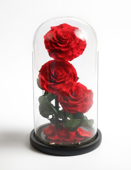 Three Red Roses in Glass Dome by La Rosa Flower Shop