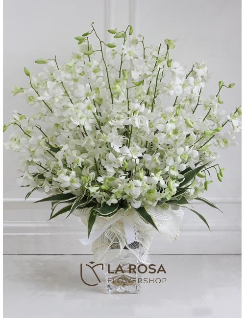 White Orchids in Vase