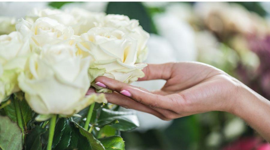 Roses 1 by la rosa
