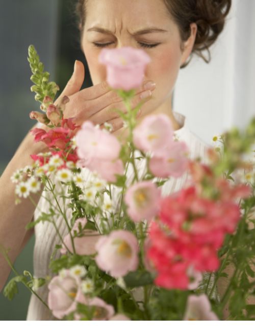 Not allowed - Strongly Scented Flowers 2 by la rosa
