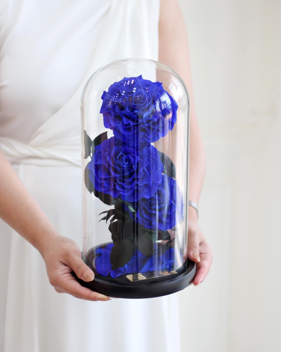 Three Royal Blue Roses in Glass Dome by La Rosa Flower Shop