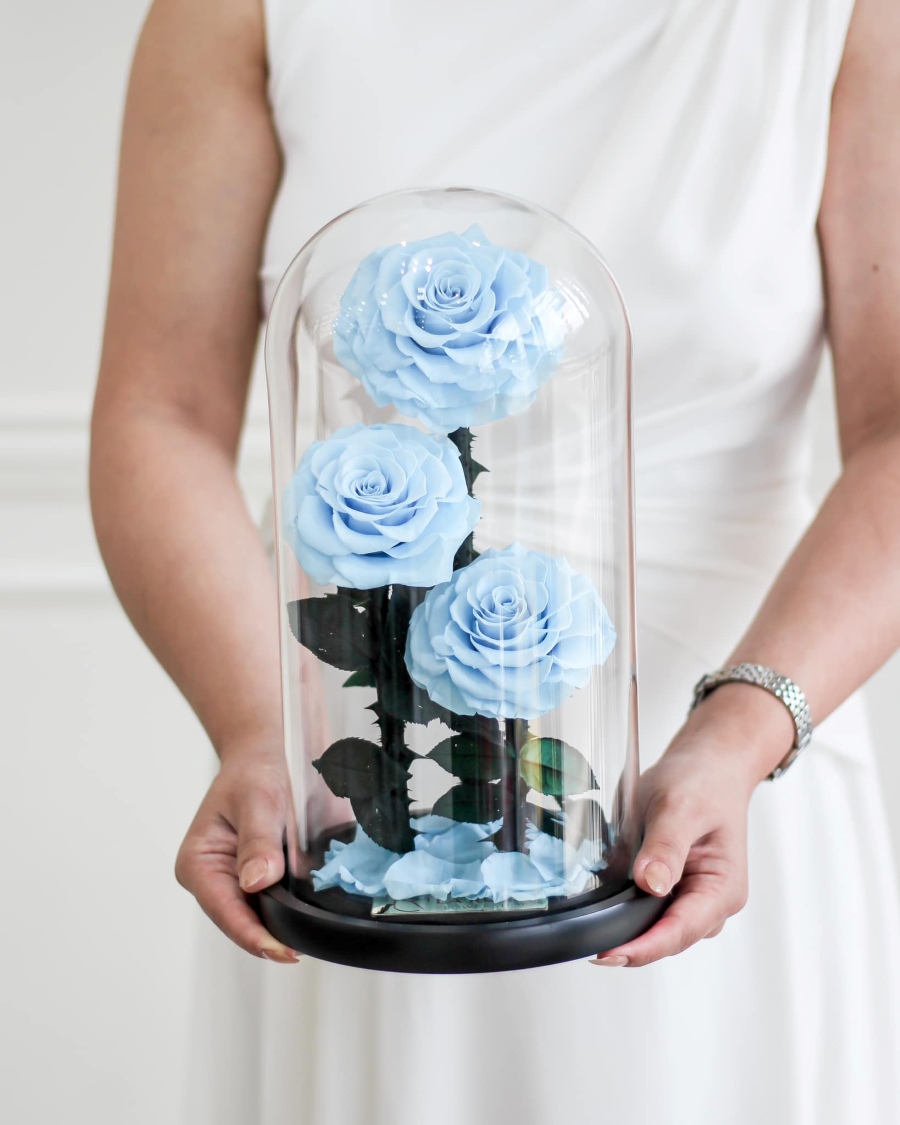 Three Sky Blue Roses in Glass Dome by La Rosa Flower Shop