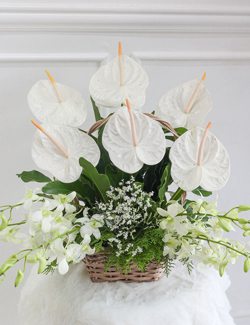 Best Anthuriums Flowers by La Rosa Flower Shop for All Saints Day Philippines