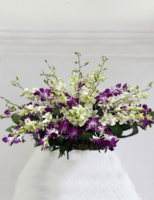 Best Orchids Flowers by La Rosa Flower Shop for All Saints Day Philippines