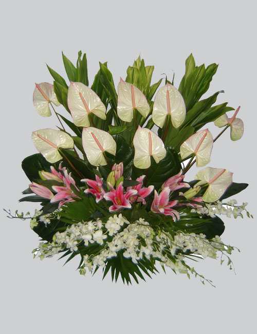 Affordable Anthuriums Flowers by La Rosa Flower Shop for All Saints Day Philippines