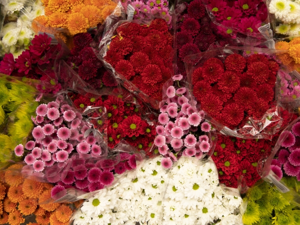 Wide range of flowers At La Rosa Flower Shop anniversary surprises