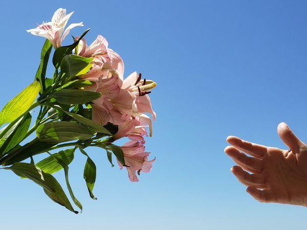 hand giving flower at La Rosa Flower Shop father's day flowers